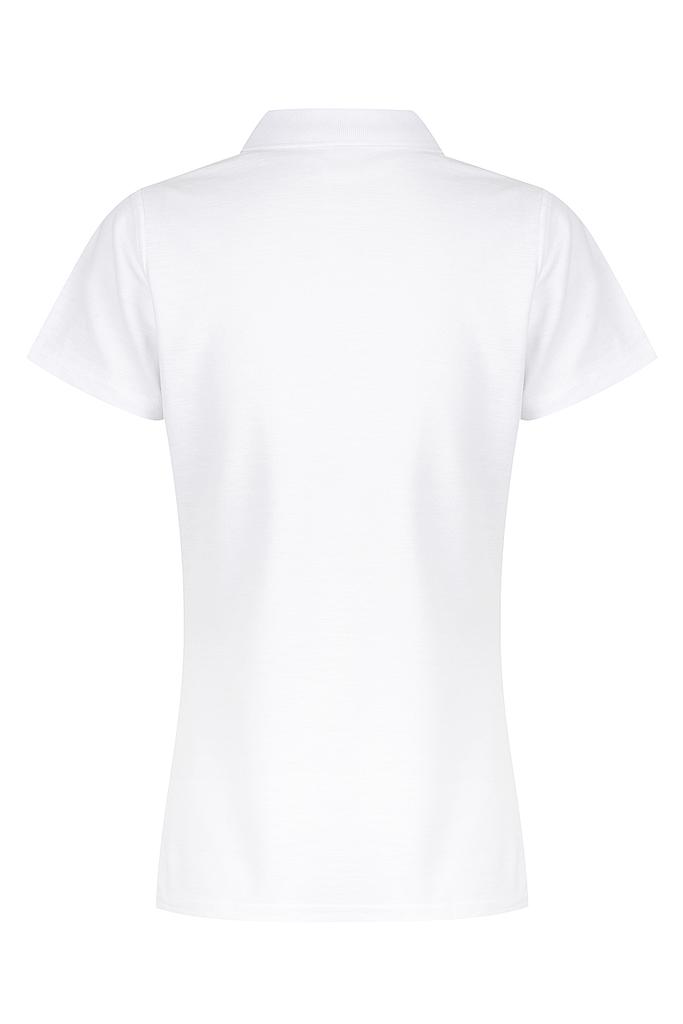 Back - 2312012