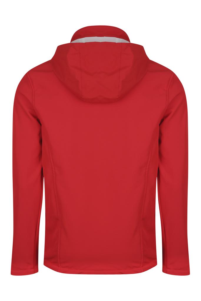 Back - 1513104