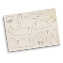Flat Sheet