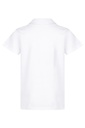 Back View - 3312011