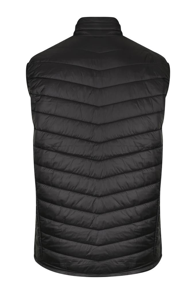 Back View - 1523027