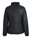 Back - 2522028