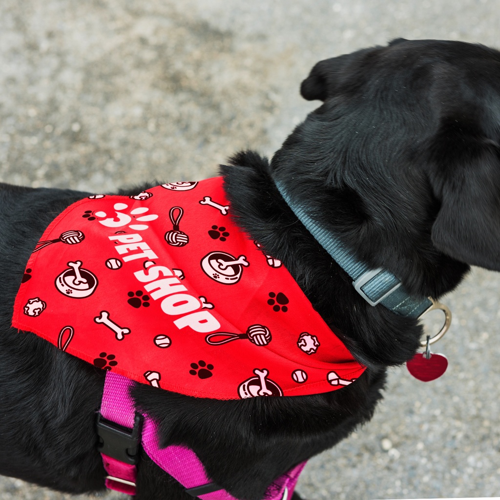 [132172] Pet Bandana - Large - 123660