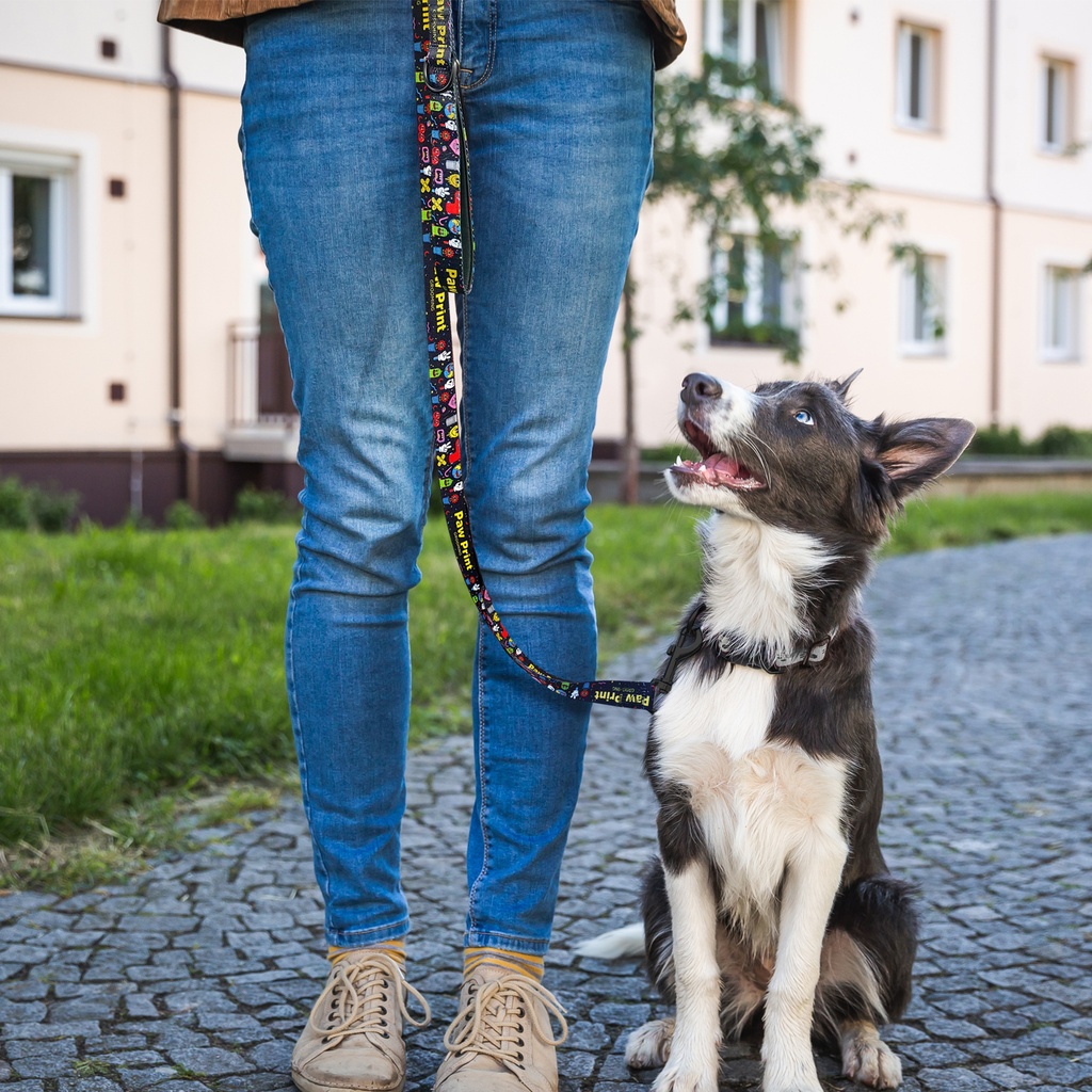 [129867] Amigo Dog Leash - 125069