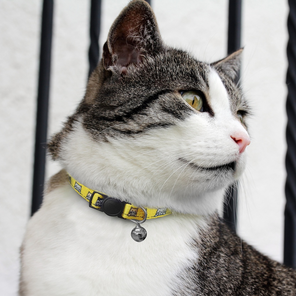 [129865] Amigo Cat Collar - 125072
