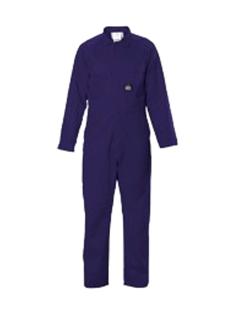 N1736 - FR PROBAN DOME FRONT OVERALL